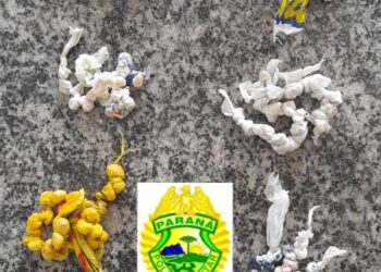 Homem é flagrado pela PM com mais de 250 pedras de crack em Guaratuba