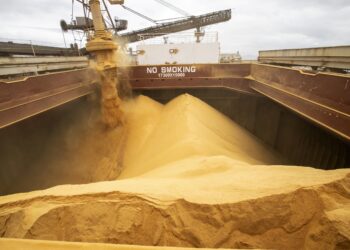 Exportações do Paraná aumentam 11,7% nos primeiros oito meses de 2023