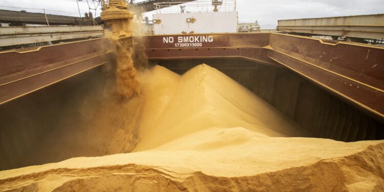 Exportações do Paraná aumentam 11,7% nos primeiros oito meses de 2023