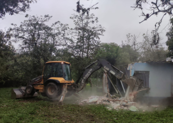 Construções irregulares em manguezais de Paranaguá são demolidas em operação