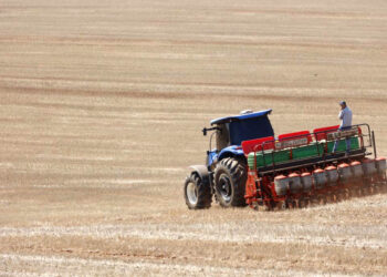 Após vazio sanitário, plantio de soja já começou no Paraná; colheita do milho está no fim