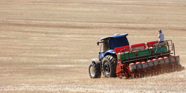 Após vazio sanitário, plantio de soja já começou no Paraná; colheita do milho está no fim