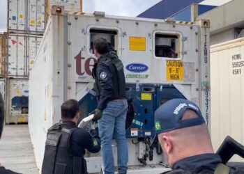 Receita Federal encontra tabletes de cocaína em contêiner refrigerado no Porto de Paranaguá