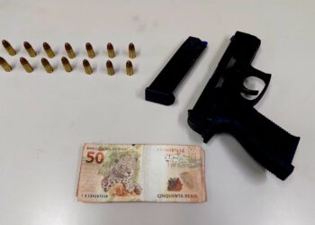 PM apreende mais de 50 quilos de entorpecentes em Paranaguá; um animal silvestre também foi recolhido pelos militares