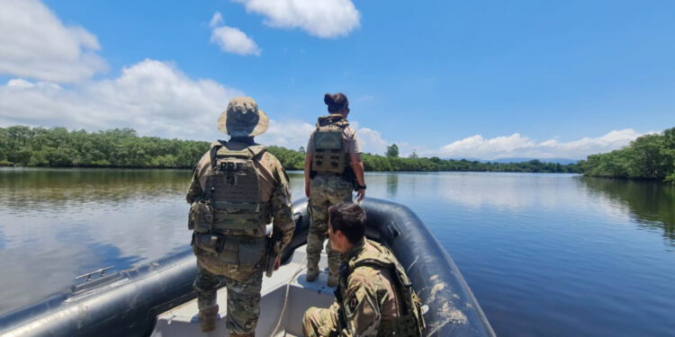 Forças de segurança realizam 4ª ação de demolição nos mangues em Paranaguá