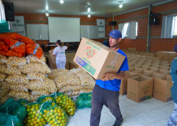 Ceasa Curitiba doa 5 toneladas de alimentos para municípios catarinenses afetados por chuvas