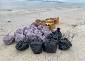 Foto: Alan Possas e Paraná Lixo Zero