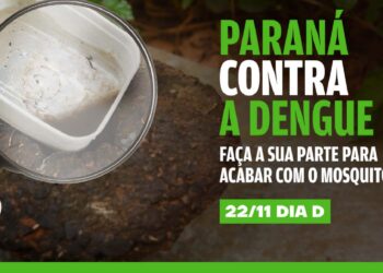 Mobilização: Paraná lança nova campanha de combate à dengue
