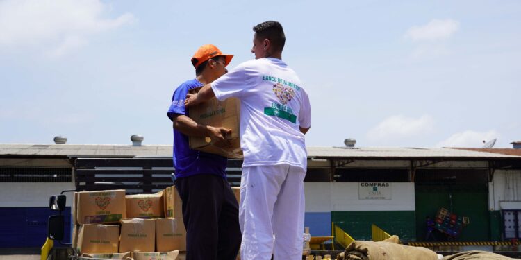 Ceasa Curitiba doa 5 toneladas de alimentos para municípios catarinenses afetados por chuvas