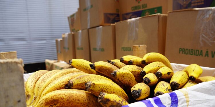 Ceasa Curitiba doa 5 toneladas de alimentos para municípios catarinenses afetados por chuvas