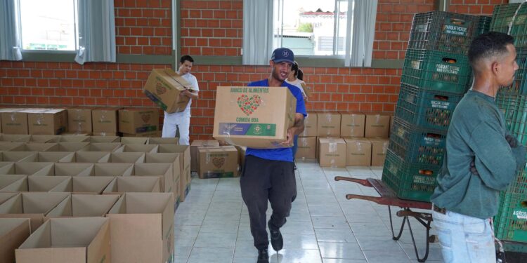 Ceasa Curitiba doa 5 toneladas de alimentos para municípios catarinenses afetados por chuvas