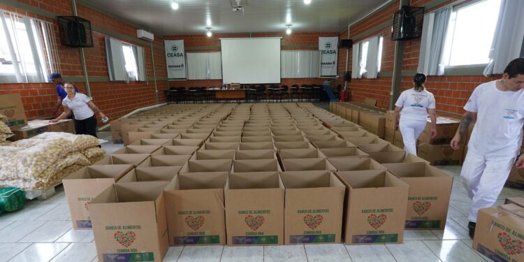 Ceasa Curitiba doa 5 toneladas de alimentos para municípios catarinenses afetados por chuvas
