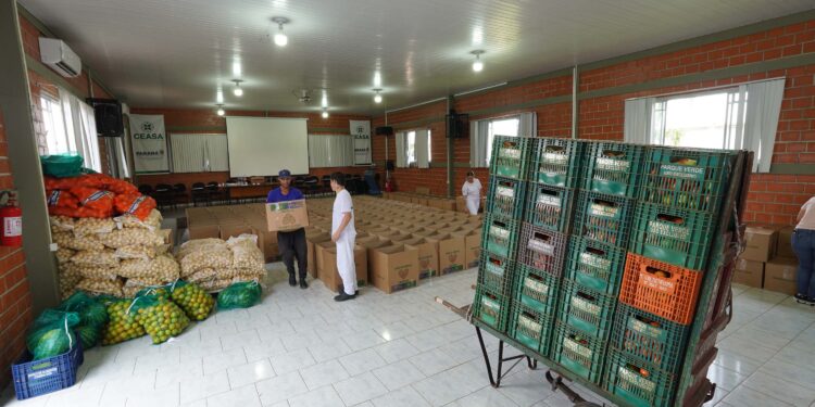 Ceasa Curitiba doa 5 toneladas de alimentos para municípios catarinenses afetados por chuvas