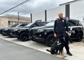 PCPR recebe sete novas viaturas blindadas para Núcleo de Operações com Cães
