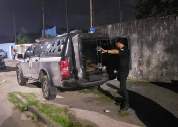 Acusado de envolvimento com o tráfico de drogas é preso pela PCPR no “Beco do Taliban” em Paranaguá