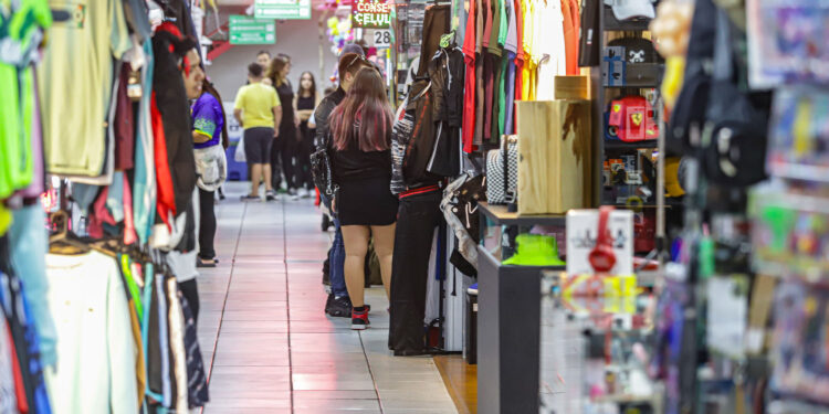 Paraná alcança saldo positivo de mais de 122 mil novas empresas em 2023