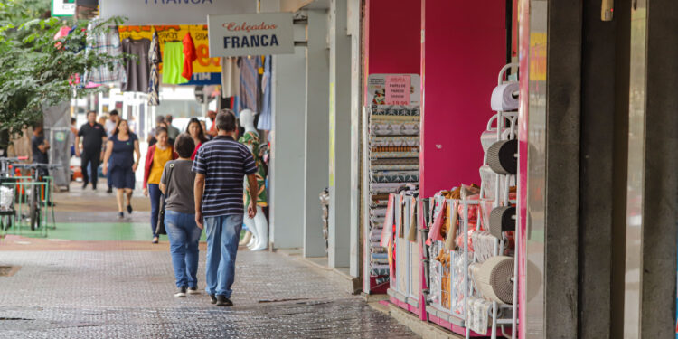 Paraná alcança saldo positivo de mais de 122 mil novas empresas em 2023