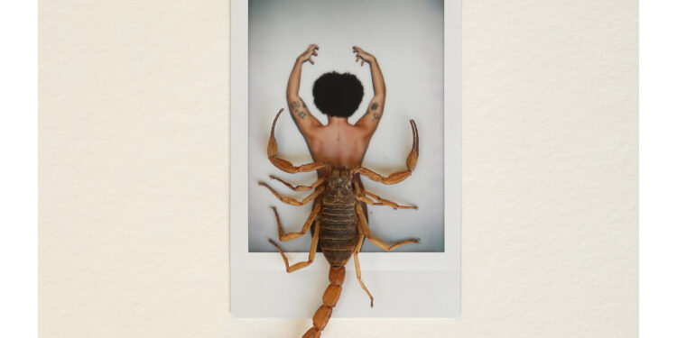 “O Quebra-Nozes”, retomada do Prêmio Gralha Azul e exposições movimentam a agenda cultural