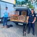 Cães, pássaros e peixes em situação de maus-tratos são resgatados pela GCM na Ilha dos Valadares