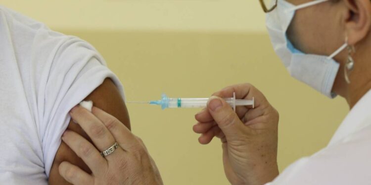 Paraná receberá primeiro lote da vacina contra dengue para 30 municípios