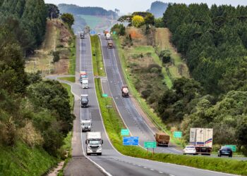 Roberto Dziura Jr/AEN