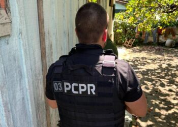 PCPR prende em flagrante autor de diversos furtos na cidade em Antonina