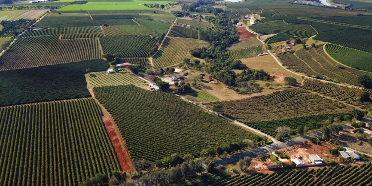 Paraná foi o estado que mais cresceu em 2023, aponta Banco Central