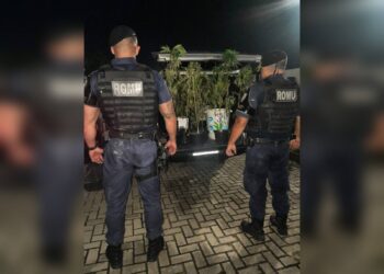 ROMU encontra plantação de maconha dentro de uma casa no Parque Agari