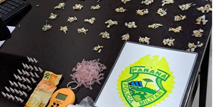 Polícia Militar apreende grande quantidade de entorpecentes em Guaratuba