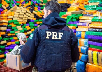 PRF apreende 195 toneladas de drogas em 2023 no Paraná e bate recorde histórico