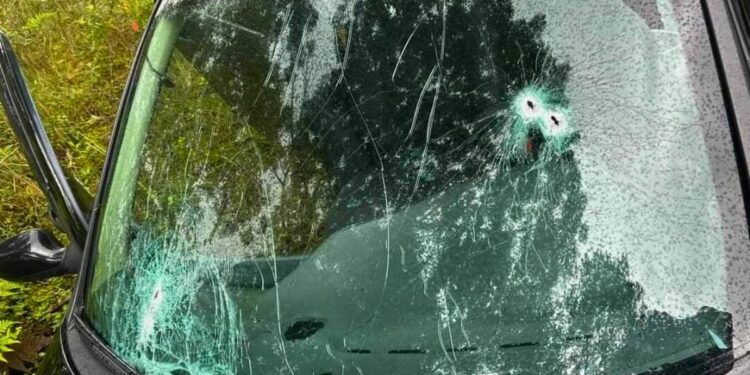 PM encontra veículo usado em tentativa de homicídio abandonado em matagal