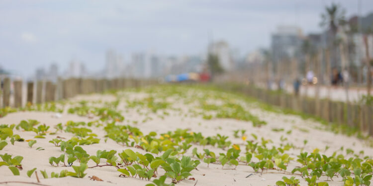 Com avanços na drenagem, revitalização da Orla de Matinhos alcança 92%