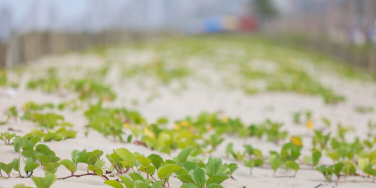 Com avanços na drenagem, revitalização da Orla de Matinhos alcança 92%