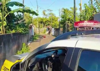 Suspeita de comandar o tráfico de drogas em bairro de Antonina é presa em operação da Polícia Civil