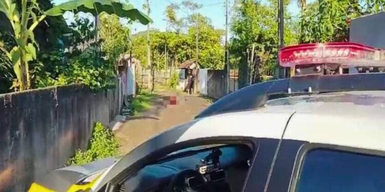 Suspeita de comandar o tráfico de drogas em bairro de Antonina é presa em operação da Polícia Civil