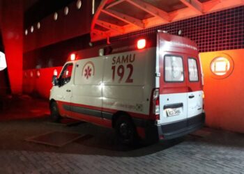 Idosa tem braços dilacerados após ser atacada pelo próprio cachorro em Guaratuba