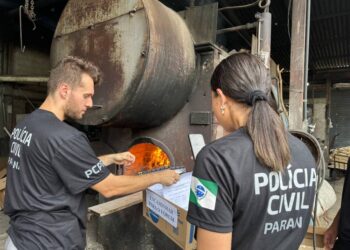 PCPR realiza segunda incineração de drogas apreendidas no Litoral durante o Verão Maior Paraná