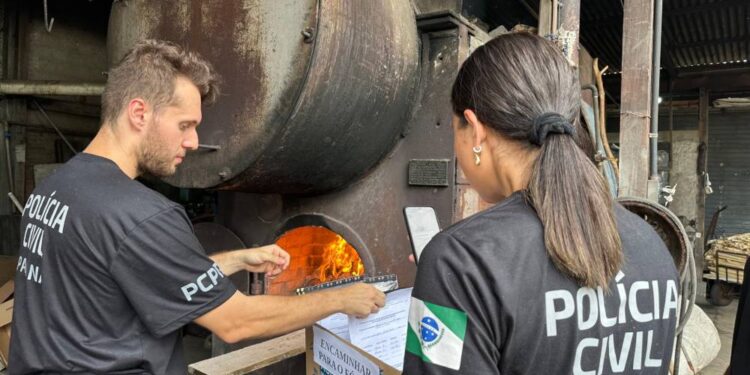 PCPR realiza segunda incineração de drogas apreendidas no Litoral durante o Verão Maior Paraná