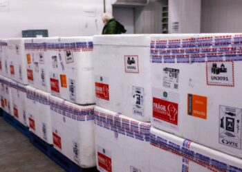 Paraná recebe primeiro lote de vacinas contra a dengue para atender 30 municípios