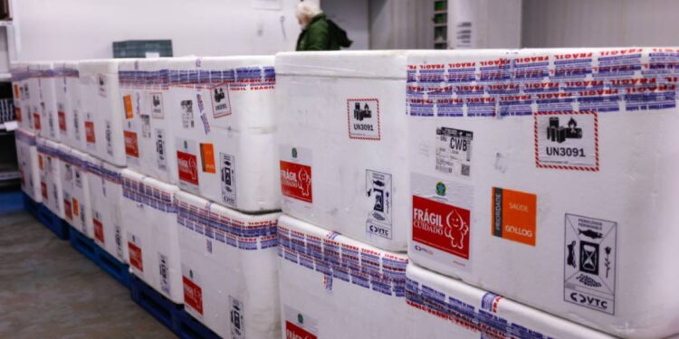 Paraná recebe primeiro lote de vacinas contra a dengue para atender 30 municípios