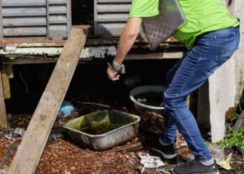Paraná registra 17 mil novos casos e 12 óbitos de dengue em uma semana