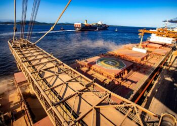 Com 37,5% das exportações, Porto de Paranaguá lidera movimentação do complexo soja