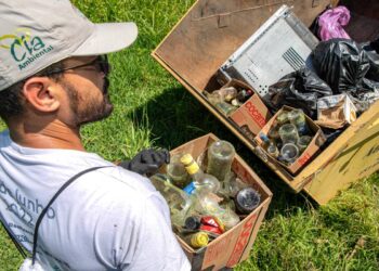 Mais de meia tonelada de resíduos foi removida dos manguezais em Antonina