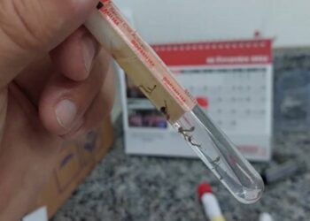 Paranaguá tem análise detalhada sobre a presença do Aedes aegypti na cidade