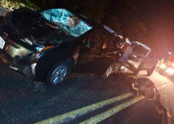 Vaca invade pista da PR-508 e provoca grave acidente de trânsito; animal não resistiu