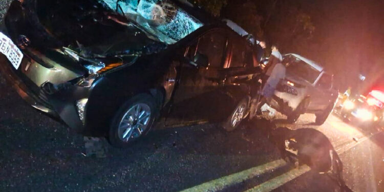 Vaca invade pista da PR-508 e provoca grave acidente de trânsito; animal não resistiu