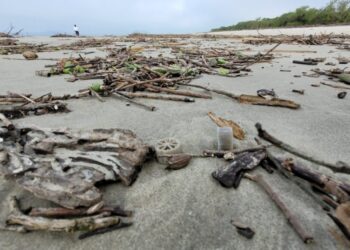 Descoberta revela presença de biomídias plásticas nas praias do litoral paranaense