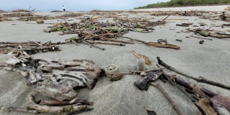 Descoberta revela presença de biomídias plásticas nas praias do litoral paranaense
