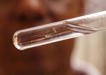 Foto: Marcelo Camargo/Agência Brasil