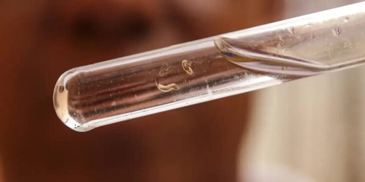 Foto: Marcelo Camargo/Agência Brasil